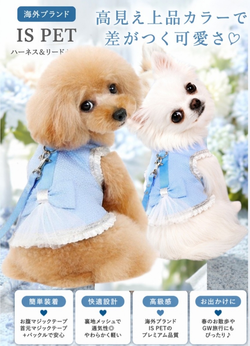 画像10: 高級IS PET ブルー ハーネス＆リードセット フリル フリル チュール 小型犬 チワワ プードル 春夏 お出かけ GW 旅行 上品ブルー
