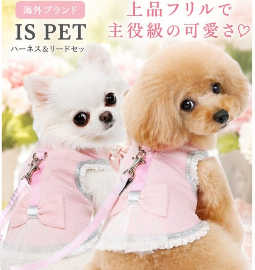 画像1: 高級IS PET ピンク ハーネス＆リードセット フリル フリル チュール 小型犬 チワワ プードル 春夏 お出かけ GW 旅行 可愛い