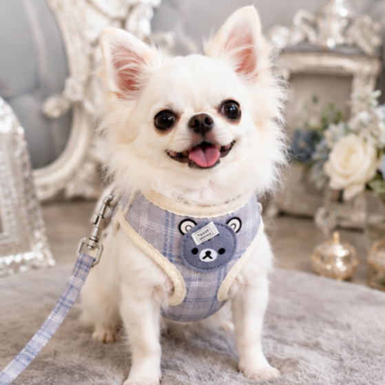 画像2: 【メール便無料】愛犬用 犬服 ペット用 ハーネス SET 犬用 犬 可愛い ベア チェック柄 くま ハーネスセット 胴輪セット 可愛いハーネス 小型犬 散歩 旅行 軽量 簡単装着 淡いグレー