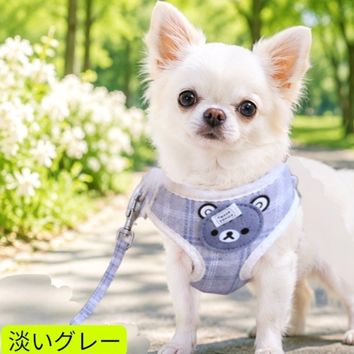 画像1: 【メール便無料】愛犬用 犬服 ペット用 ハーネス SET 犬用 犬 可愛い ベア チェック柄 くま ハーネスセット 胴輪セット 可愛いハーネス 小型犬 散歩 旅行 軽量 簡単装着 淡いグレー