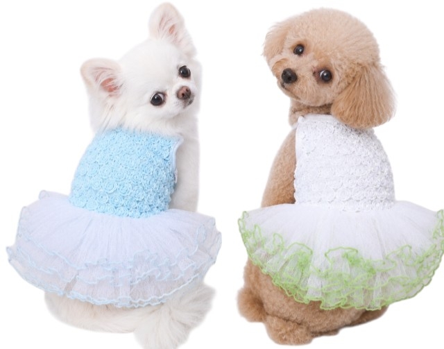 画像: 【春夏】【Sale】【犬 服】ローズモチーフチュチュドレス【Lollypop】【メール便OK】
