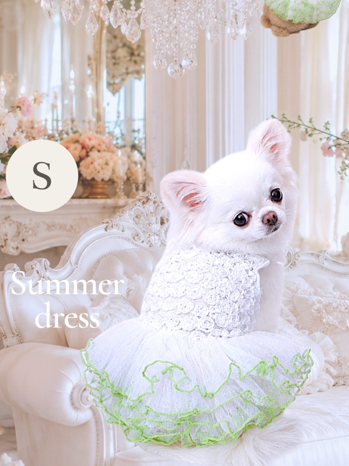 画像3: 【春夏】【Sale】【犬 服】ローズモチーフチュチュドレス【Lollypop】【メール便OK】