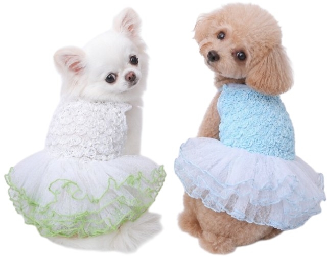 画像: 【春夏】【Sale】【犬 服】ローズモチーフチュチュドレス【Lollypop】【メール便OK】