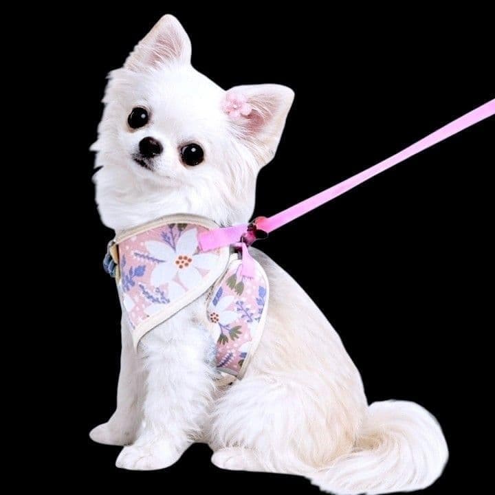 画像7: 【メール便無料】犬用 花柄 ハーネス＆リード 小型犬 旅行 散歩 胴輪セット 軽量 簡単装着 ピンク系