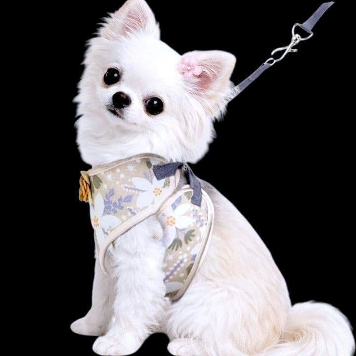 画像8: 【メール便無料】犬用 花柄 ハーネス＆リード 小型犬 旅行 散歩 胴輪セット 軽量 簡単装着 ベージュ系