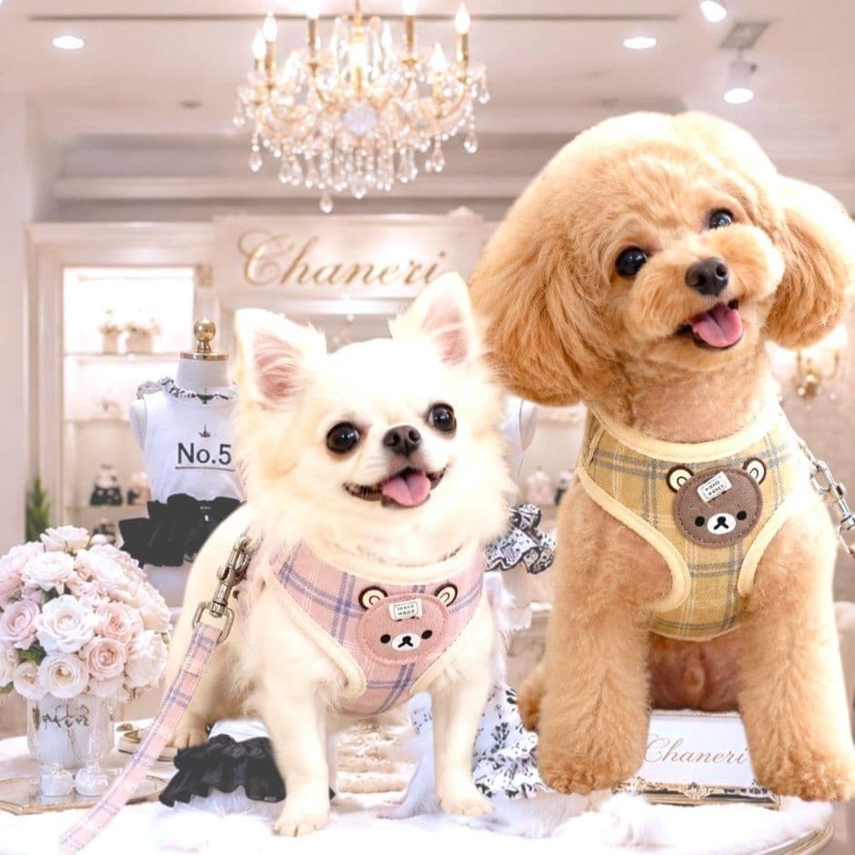 画像14: Sale中【メール便無料】愛犬用 犬服 ペット用 ハーネス SET 犬用 犬 可愛い ベア チェック柄 くま ハーネスセット 胴輪セット 可愛いハーネス 小型犬 散歩 旅行 軽量 簡単装着 グレー