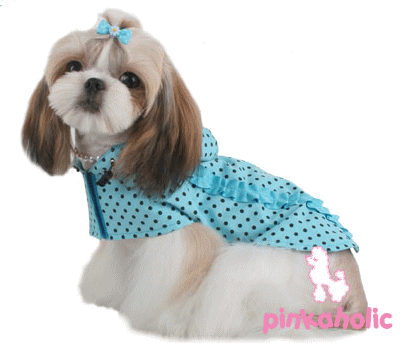 画像2: 【期間限定セール】【メール便無料】愛犬服/ポルカドットレインコート・アクア【PINKAHOLIC】xmas