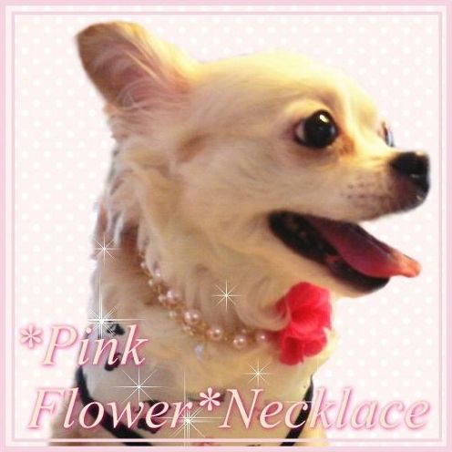 画像: シフォンフラワーのネックレス　ピンク