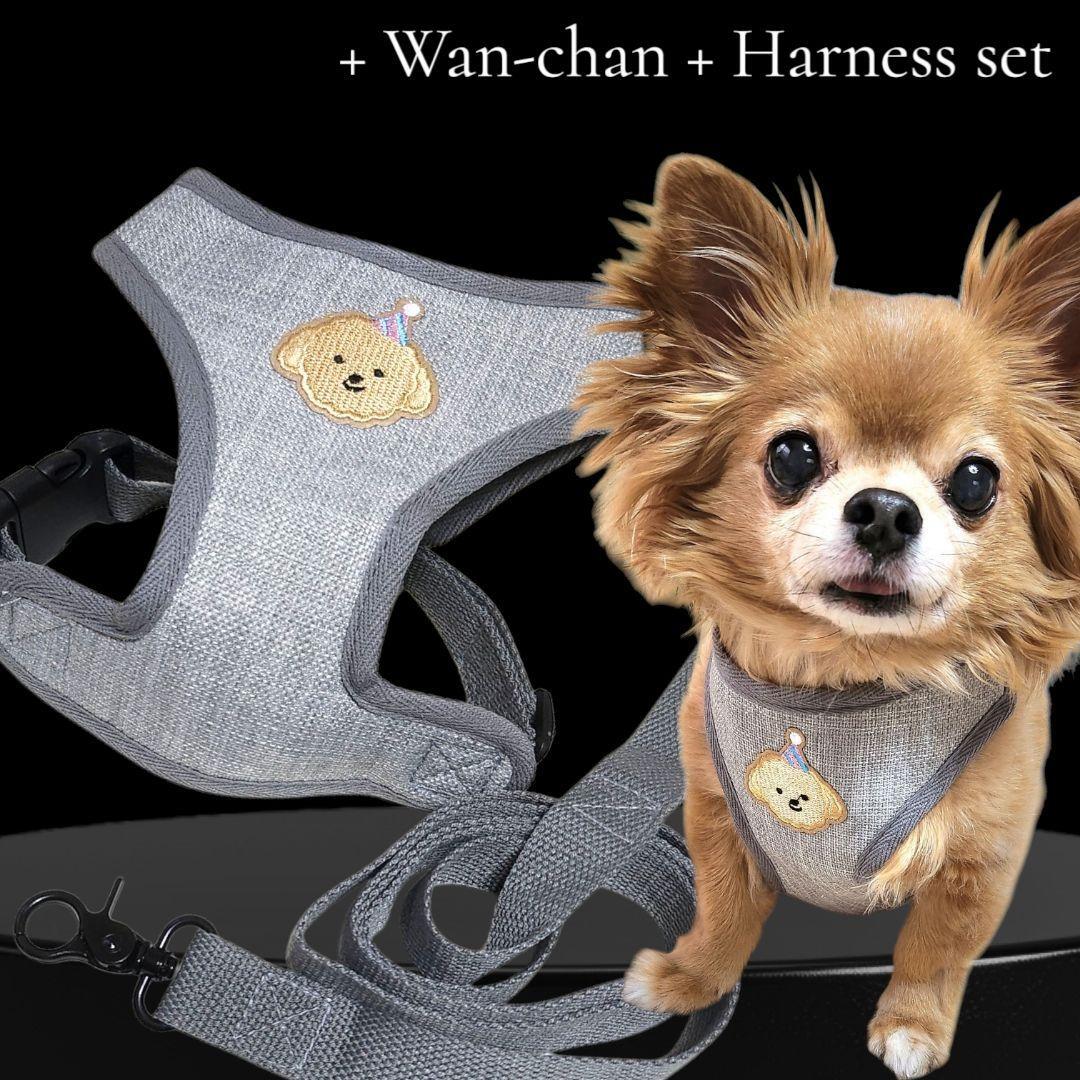 画像1: 犬用 犬 刺繍 ワッペン ハーネス リード セット 胴輪 胴輪セット 可愛いハーネス 小型犬 散歩 旅行 軽量 簡単装着 グレー